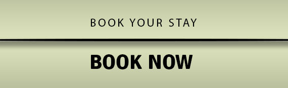 Book Now Book Now