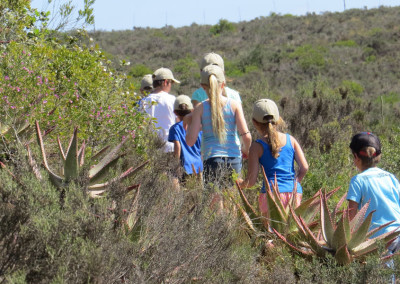 Family Safari Offer