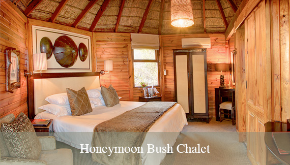 honeymoon-bush-chalet Family Lodge Room