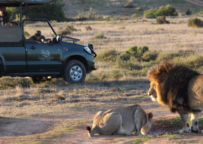 Bed and Breakfast and Safaris