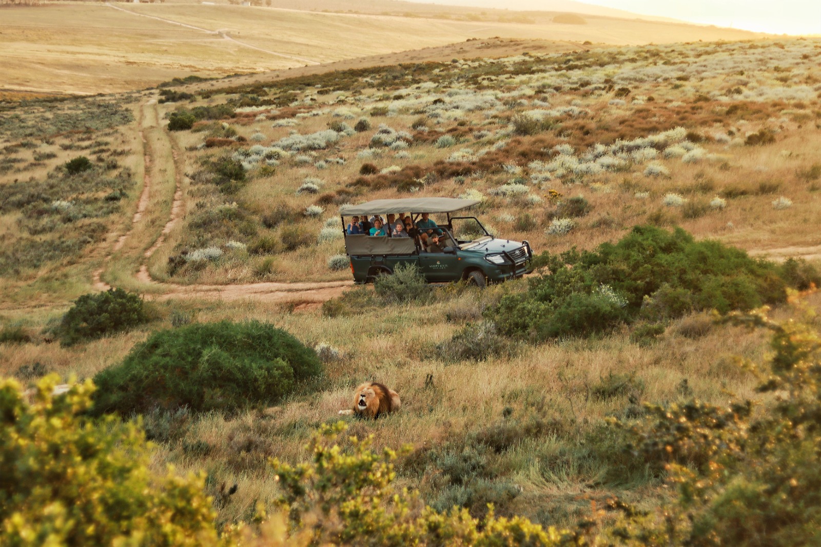 Game Drives Game Drives