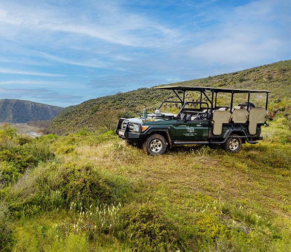 Game Drives