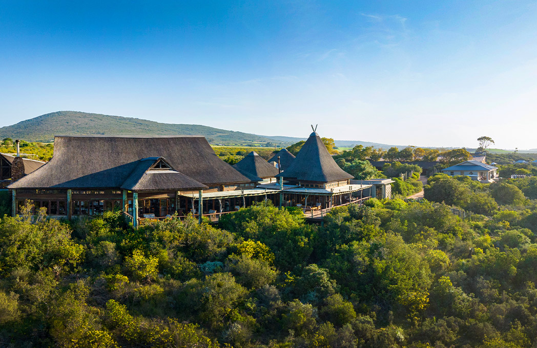 Serengeti's Restaurant 01