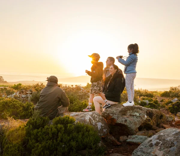 Family Safari Offer