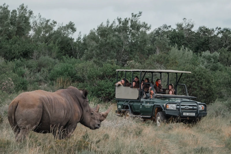 Game drive 5