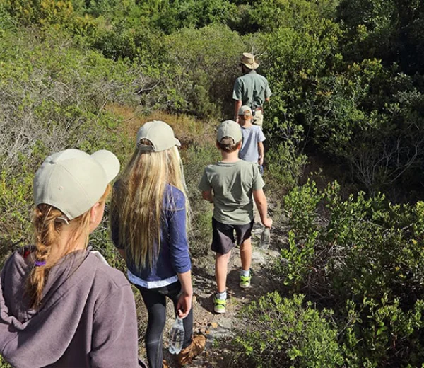 Guided Bush Walk