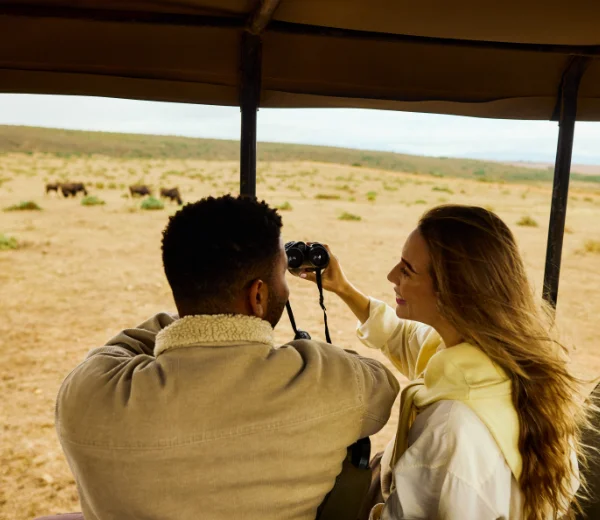 Love and Safari