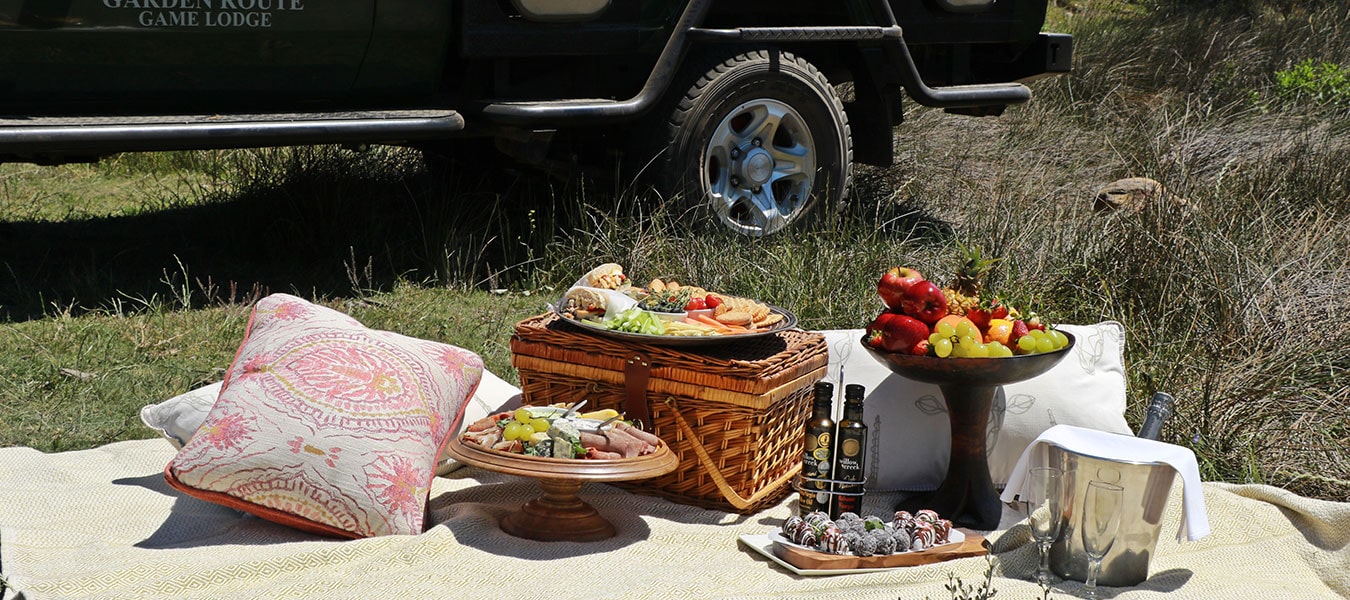 picnicinthereserve